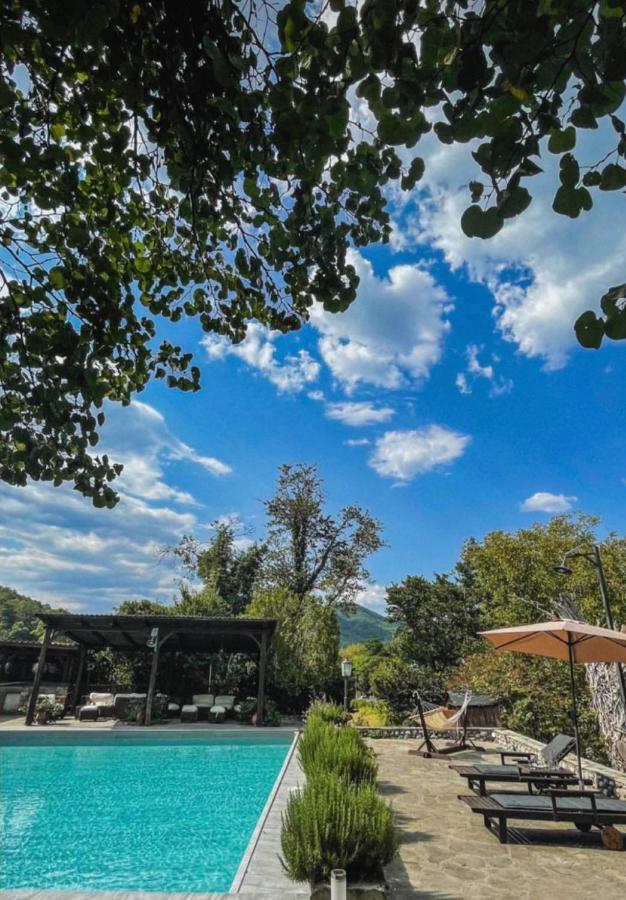 Bourazani Wild Life Resort Konitsa Eksteriør bilde