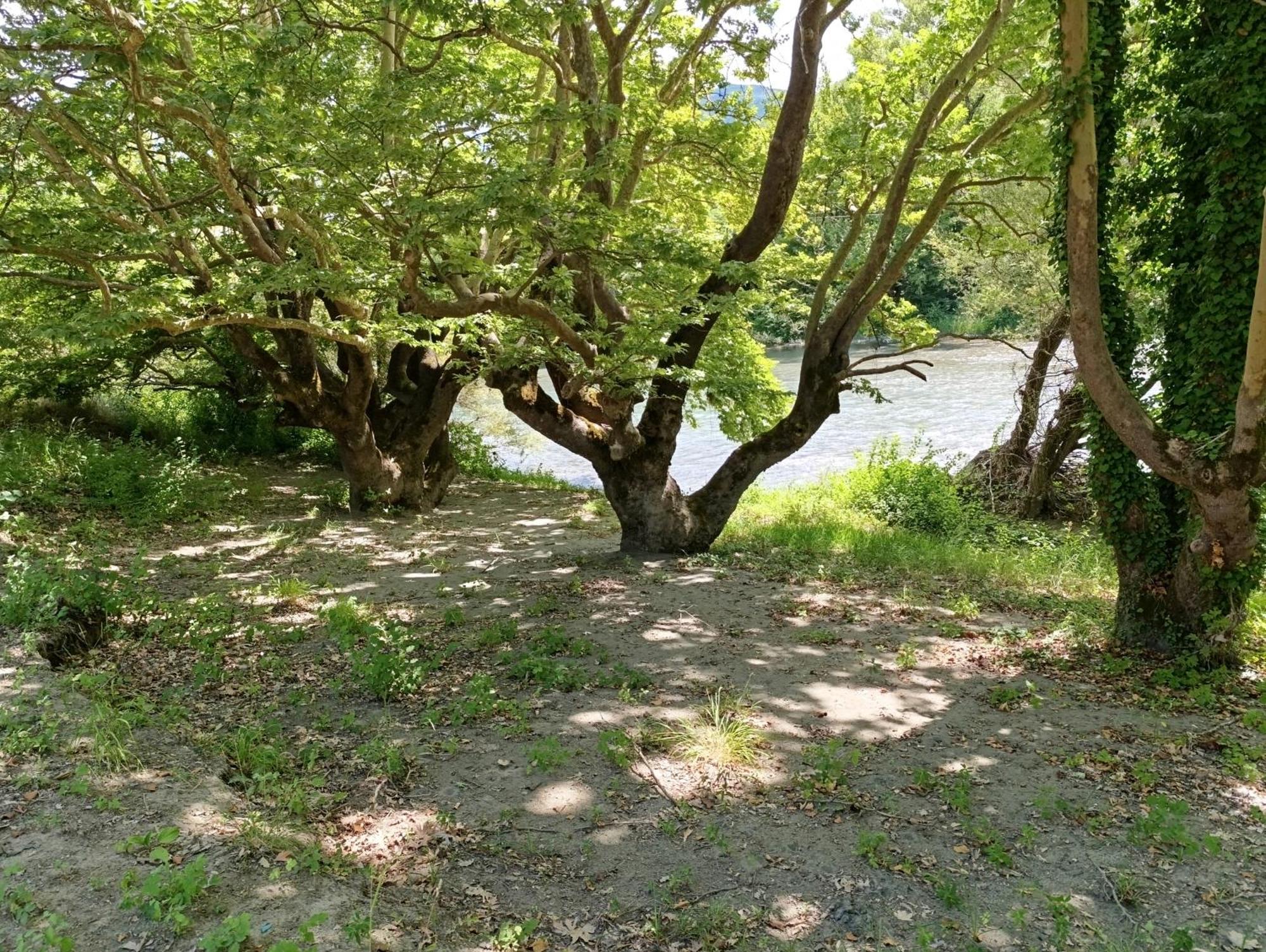 Bourazani Wild Life Resort Konitsa Eksteriør bilde